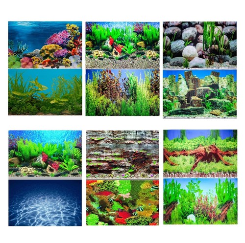 Aquarium fish tank background - aquarium,