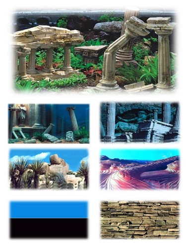 Aquarium fish tank vivarium - aquarium,