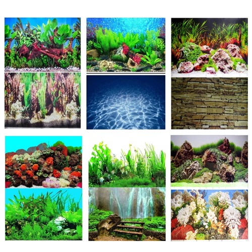 Aquarium fish tank background - aquarium,