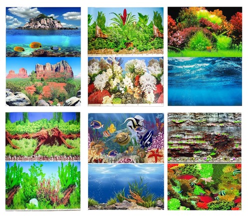 Aquarium fish tank - fish, background