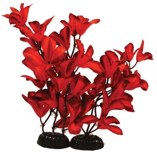 Red glandulosa silk aquarium - red,