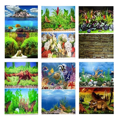 Aquarium fish tank - aquarium,