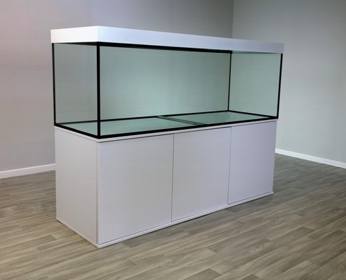Aquarium x 24 - 24'', 24''